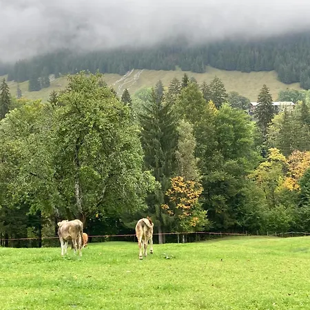 Alpenrose Komfortable Ferienresidenz 奥伯斯特多夫