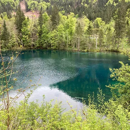 Alpenrose Komfortable Ferienresidenz Apartman Oberstdorf