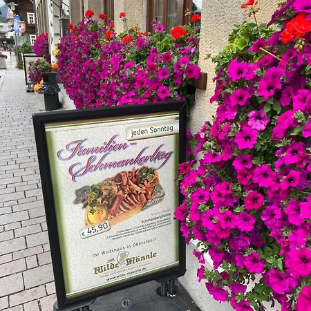 Alpenrose Komfortable Ferienresidenz Apartment