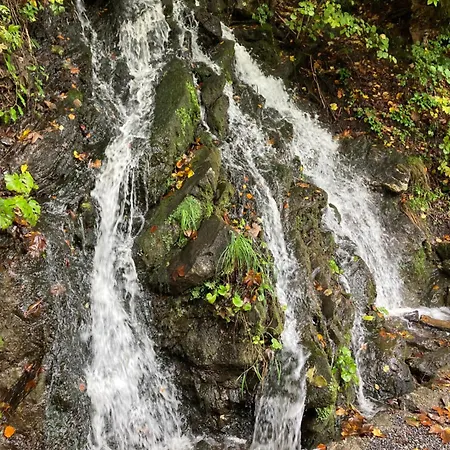 Apartment Alpenrose Komfortable Ferienresidenz *