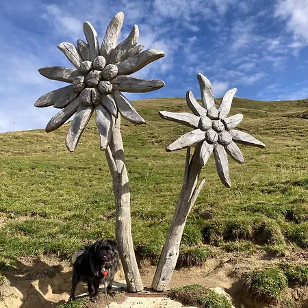Alpenrose Komfortable Ferienresidenz Oberstdorf